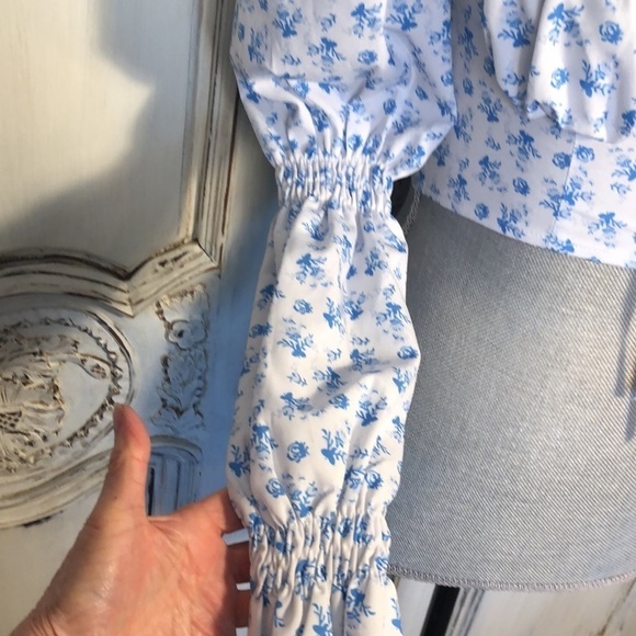 8 Birdies CottageCore Victorian Edwardian Feminine Prairie Cowgirl Corset Top - Picture 6 of 11